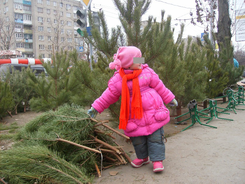 Жительница Ростова-на-Дону рассказала об унижении детей из малообеспеченных семей накануне Нового года