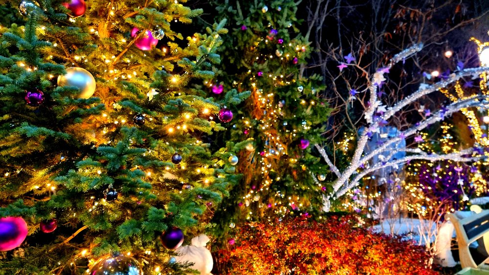 Сказочная атмосфера Старого парка в Кабардинке на Рождество