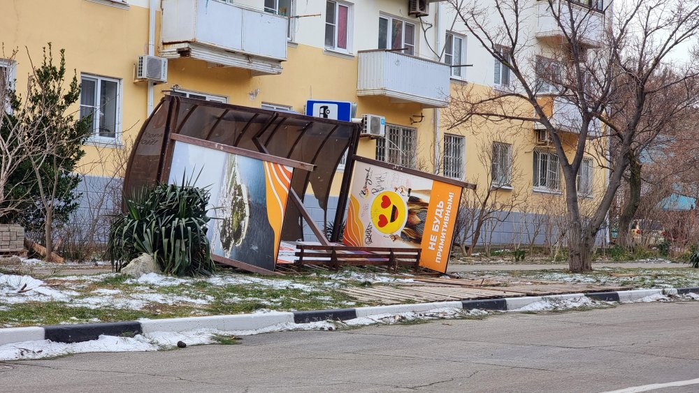 «Поваленные деревья, заборы и крыши»: последствия разбушевавшейся стихии в районе Новороссийска и Геленджика в феврале