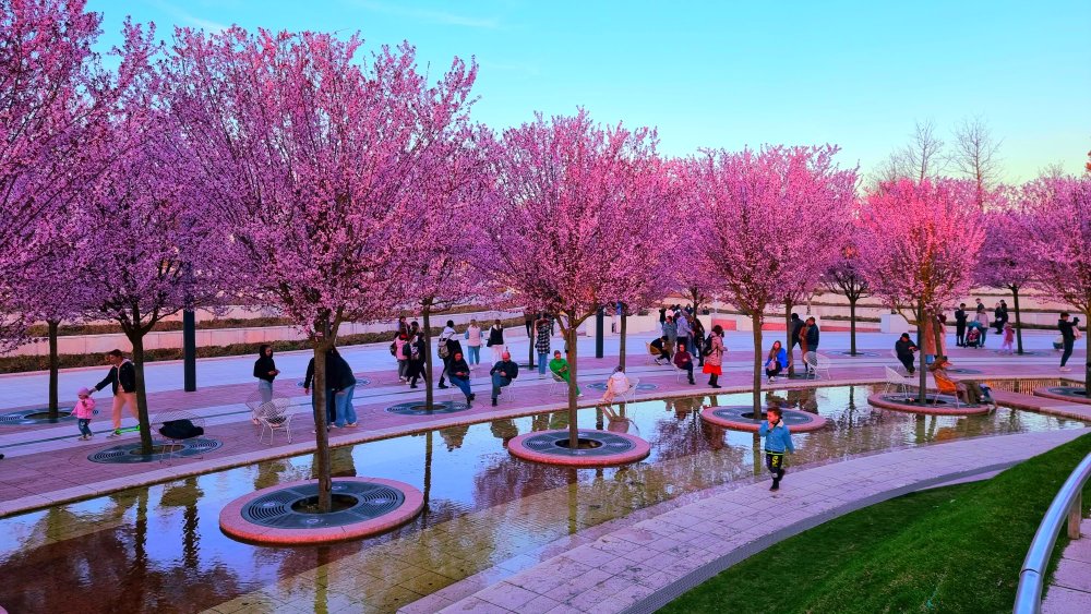 С третьей попытки в Краснодаре открыли «Японский сад» в парке Галицкого