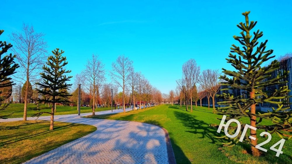Стала известна площадь строящегося «Парка Облаков» в парке Галицкого в Краснодаре