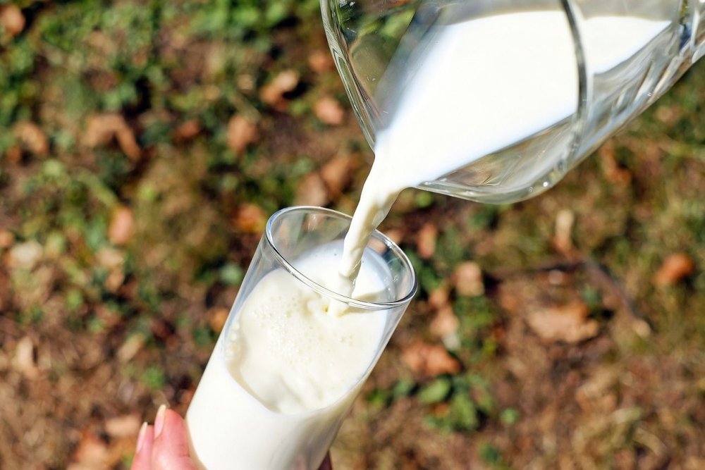 Липовое молоко из Краснодарского края разоблачил амурчанин