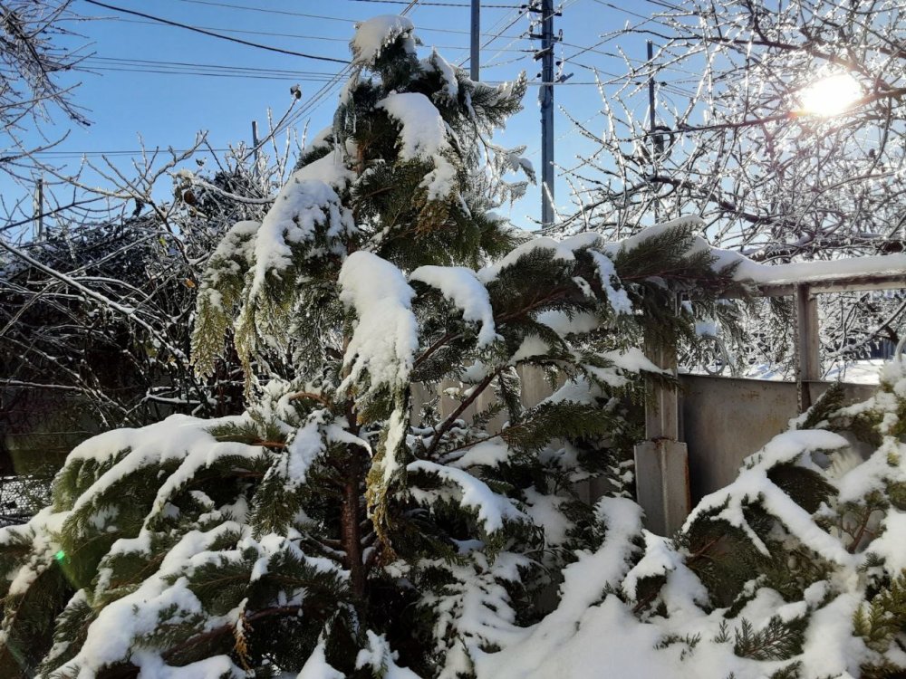 До -3 градусов резко похолодает в Краснодарском крае