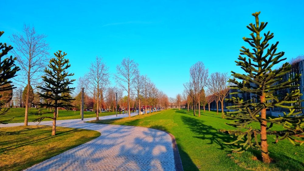 В парке Галицкого в Краснодаре в апреле снимут запрет на прогулки по газонам