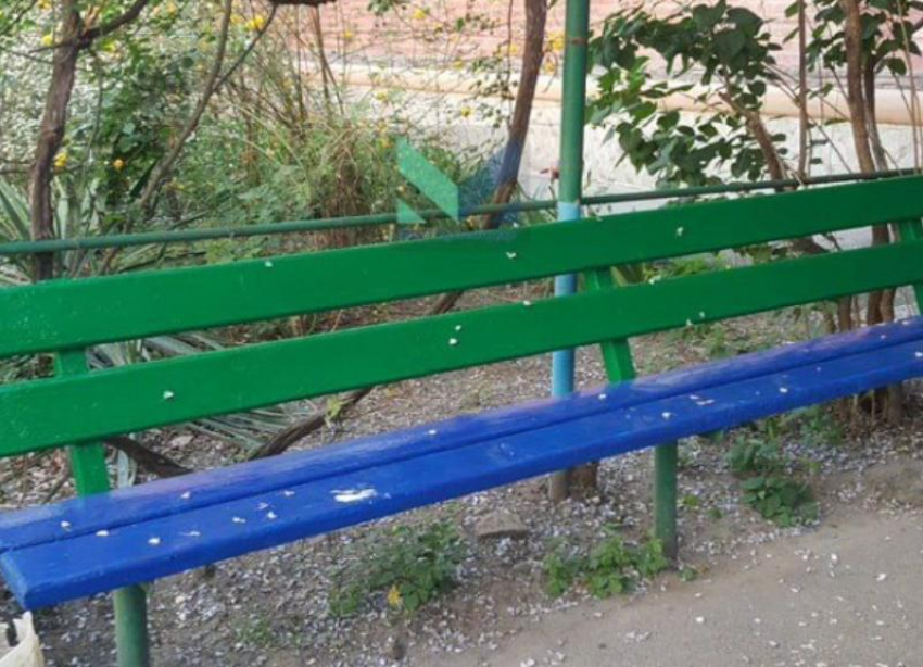 В Краснодаре после гнева жителей перекрасили сине-желтую скамейку