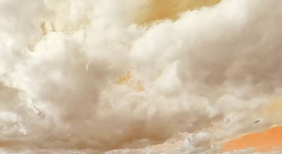 Воздух на Кубани на фоне пылевой бури стал вредным