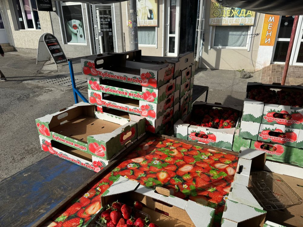 В Краснодаре цены на клубнику достигли отметки в 830 рублей за килограмм