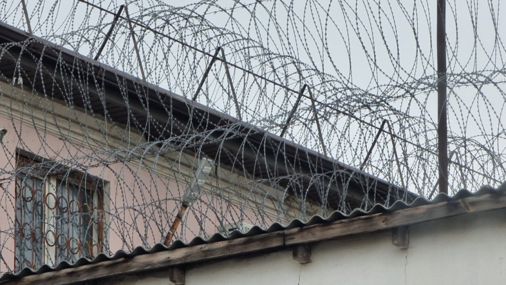 Экс-замминистра Кубани, осужденного за большую взятку, выпустили из тюрьмы и отправили на СВО