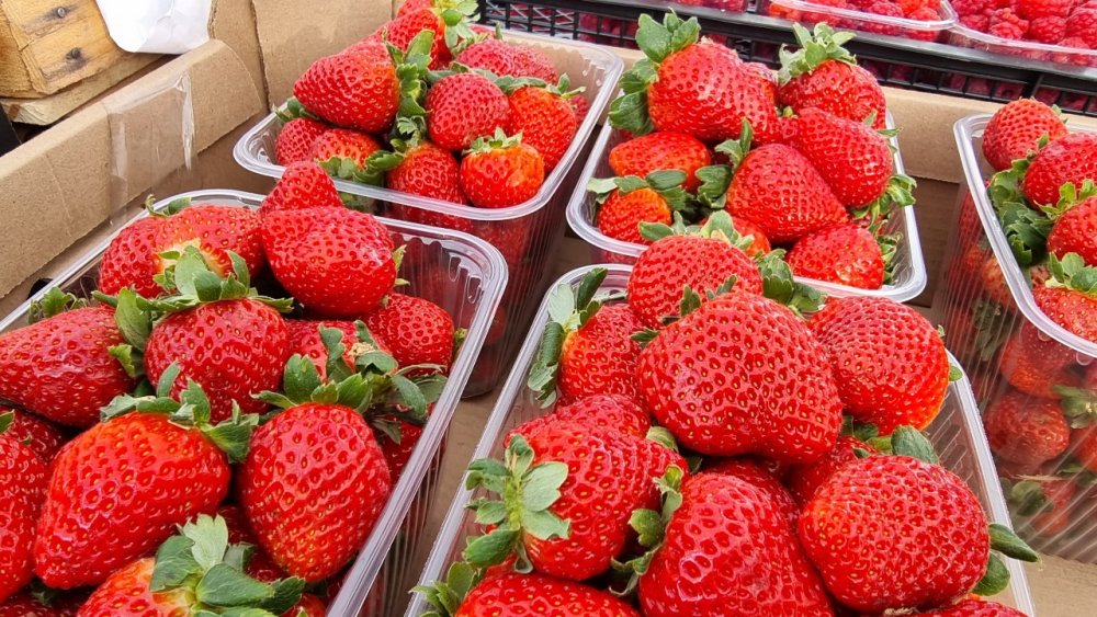 В Анапе уличные продавцы теперь берут плату за пробу фруктов поштучно